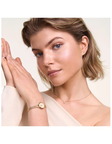 Reloj Mujer Daniel Wellington DW00100741 | Joyería Parejo