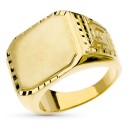 Anillos