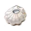 Conchas de bautismo