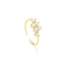 Anillos ajustables